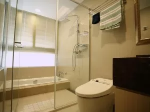 淋浴房装修效果图 玻璃隔断门设计图片