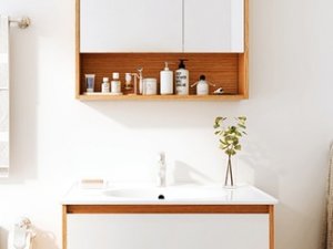 九牧卫浴效果图 北欧风格浴室柜组合图片型号A2234